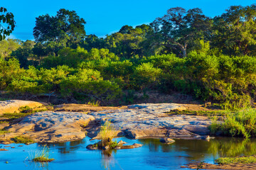 Picturesque stream