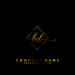 BD Initial handwriting logo vector