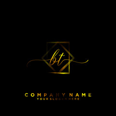 BT Initial handwriting logo vector