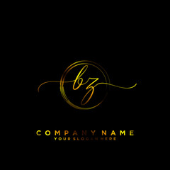 BZ Initial handwriting logo vector