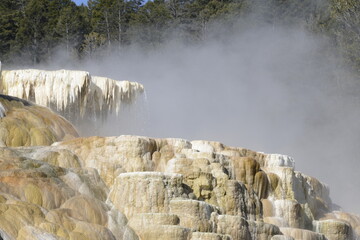 Mammoth hot springs, yellowstone national park, wyoming, USA