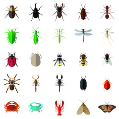 bug insects vector set