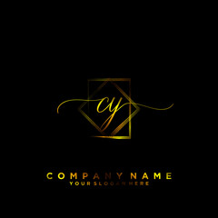 CY Initial handwriting logo vector