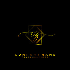 CZ Initial handwriting logo vector