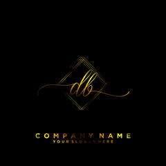 DB Initial handwriting logo vector