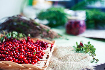 autumn berries on table, lingonberry raw closeup