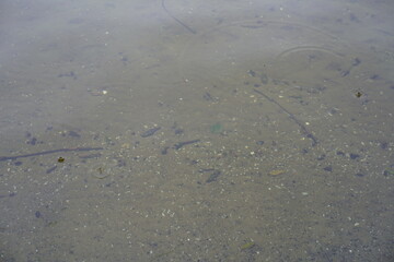 Regentropfen auf der Havel