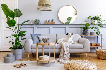  Interior design of living room with stylish grey sofa, coffee table, tropical plant, mirror,...