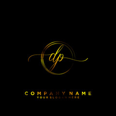 DP Initial handwriting logo vector
