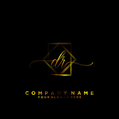 DR Initial handwriting logo vector