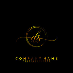 DS Initial handwriting logo vector