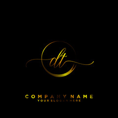 DT Initial handwriting logo vector