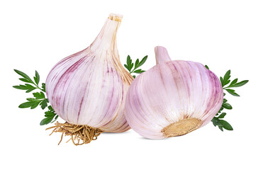  Garlic isolated on white background