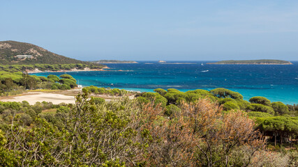 Summer landscape in Corsica in France