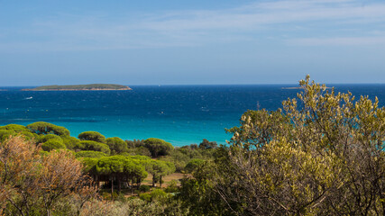 Fototapeta na wymiar Summer landscape in Corsica in France