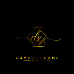 DX Initial handwriting logo vector