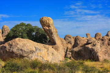 Boulder and pinnacle rock formations at City of Rocks state park in New Mexico, USA.  Formed by volcanic eruption from Emory caldera 35 million years ago. Deep blue sky