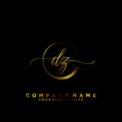 DZ Initial handwriting logo vector