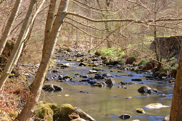 Cascades on a clear creek in a forrest