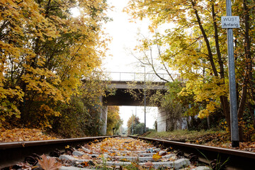 Rails run through autumn
