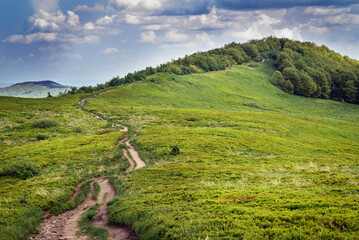 Szare Berdo Mountain, aprt of trail of Wetlina Polonyna montane meadow in Bieszczady Mountains,...
