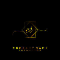 ES Initial handwriting logo vector