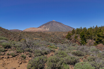 Teide national park, volcanic landscape, Tenerife, Canary islands, Spain