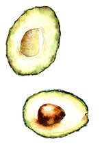 Avocado vegetable food watercolor illustration
