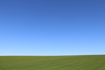 Green turf and blue sky