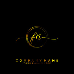 FN Initial handwriting logo vector