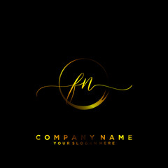 FN Initial handwriting logo vector