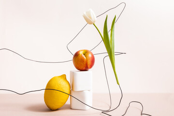 fruit and floral composition with tulip on wires and lemon with apple on cubes isolated on beige