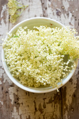 Elderflower, flowers in bowl, making elderflower cordial. 
