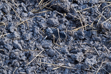 Close up of dry surface of land