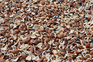 Coconut pieces are placed on a sheet to dry them and to make coconut oil. 