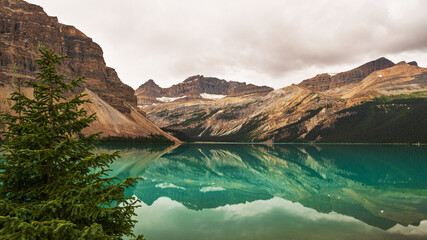 nature scenarios inside Jasper National Park, Alberta, Canada