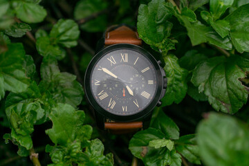 Black watch with brown leather strap on plants