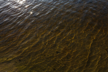 Waves and glare on the surface of the  water of the lake. Shallow. Lake. Background