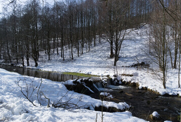 winter forest in the snow. River in winter