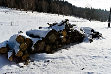 pieces of firewood. Wood for burning in the fireplace.