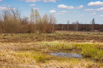 Spring landscape with view meadow with dry yellowed grass, forest and blue sky with clouds on a sunny day.