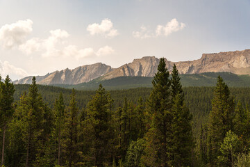 nature sceneries inside Jasper National Park, Alberta, Canada