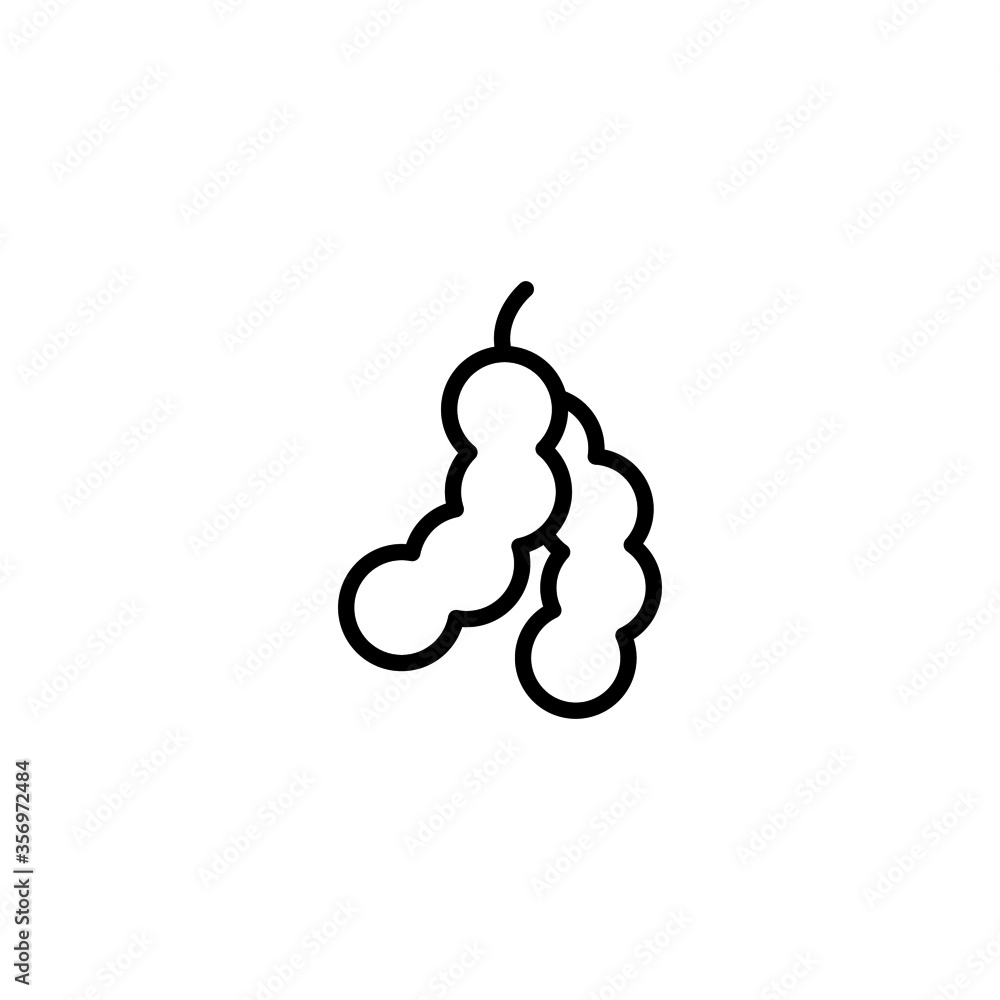 Poster tamarind vector icon in linear, outline icon isolated on white background