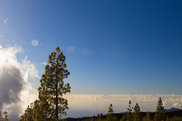 Teide Nationalpark auf Teneriffa