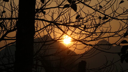 Beautiful sun set seen through branches-branches burning effect-scene from Banasura, Wayanad, Kerala