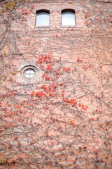 Red brick wall in Sapporo