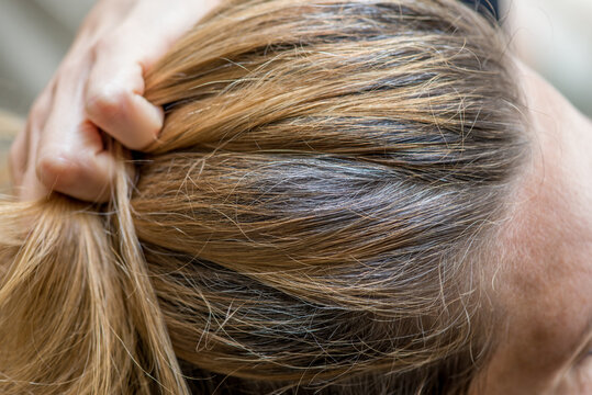 Woman hanging her hair to show natural grey regrowth