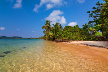 Tropischer Strand