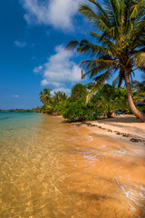 Tropischer Strand