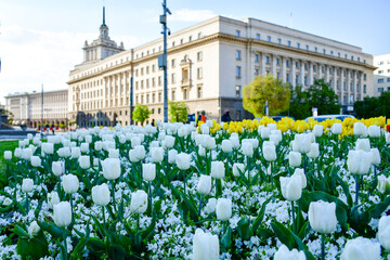SOFIA, BULGARIA - The government building - National assembly (Parliament). Architecture in Empire...